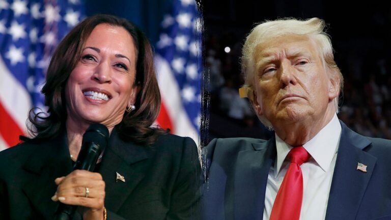 Harris maintains narrow lead nationally as Trump gains economic advantage: poll